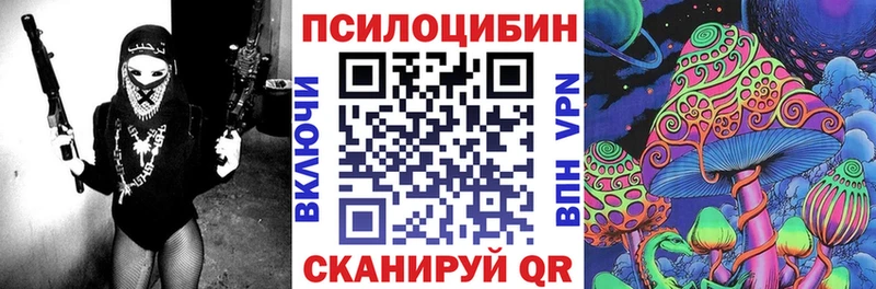 Псилоцибиновые грибы прущие грибы Кызыл