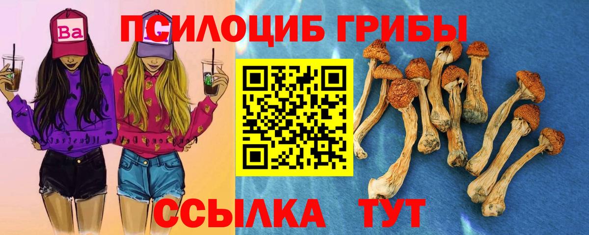 Кызыл  Галлюциногенные грибы Psilocybe  Вход с VPN  Галлюциногенные грибы ЛСД 