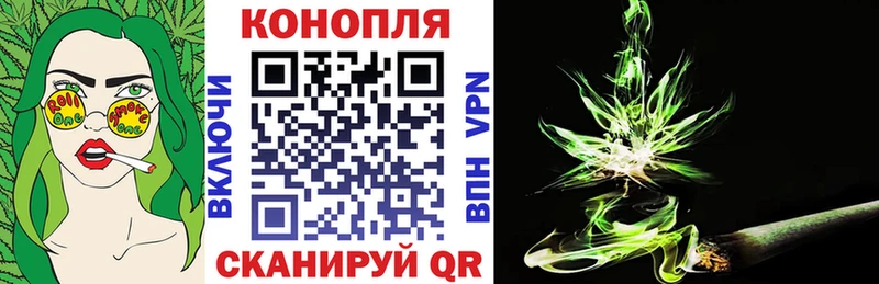 Бошки Шишки сатива  Кызыл 
